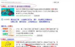 玩赚乐：蹭网站品牌词的网站运营案例