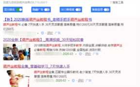 网赚竞价推广销售冷门虚拟产品非常暴利