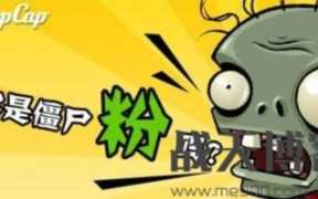 利用高级僵尸粉做营销的套路