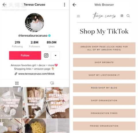 美妆独立站如何靠TikTok来变现？