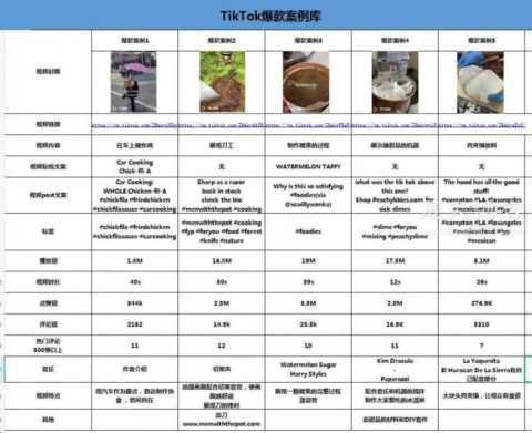 美妆独立站如何靠TikTok来变现？