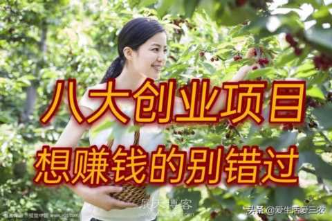 八大农村紧缺行业，的确利润高，想赚钱的来学