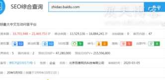 董少：2020年百度知道留链接技巧