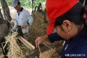 加工一次性筷子赚钱吗(一次性筷子成本跟利润)插图17 不想受气、不愿远离家乡打工?来做一次性筷子加工吧!