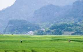 计算土地亩数怎么算（一亩地等于多少平方米?）