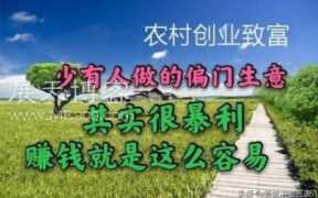 目前做什么生意赚钱稳定（目前啥生意比较赚钱）