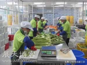 八大农村紧缺行业，的确利润高，想赚钱的来学