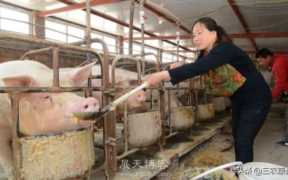 农村养殖业什么最赚钱