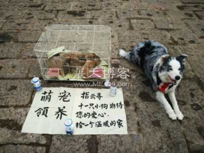 八个最火爆地摊项目，赚钱就是如此简单，快来学