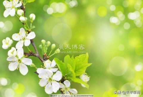做手工活一天能挣几百块，你心动了吗？