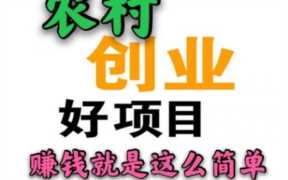 网络致富项目大全（什么致富项目好）