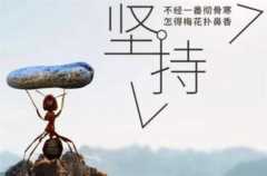 实例分享公众号是如何赚钱的？第三方平台接广告项目