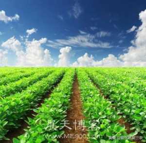 八大农村紧缺行业，的确利润高，想赚钱的来学