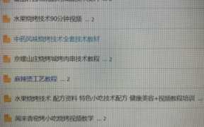 卖小吃教程赚钱（各种小吃视频教学及配方）