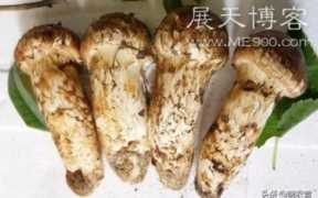 小县城最缺什么生意（未来10大暴利行业）