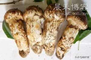 未来10大暴利种植项目