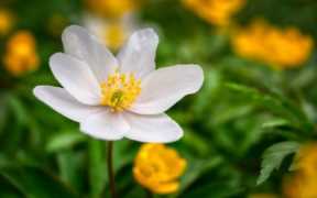 草根精神议论文(关于草根的议论文)