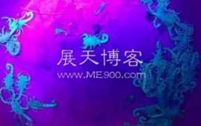 怎样养蝎子多赚钱（人工养殖蝎子的利润）