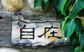 心花路放的客栈叫什么名字（大理梧桐客栈）