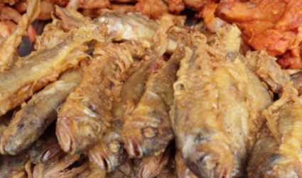 义乌地摊货批发(在义乌摆地摊卖什么比较好)插图9 97年小哥义乌夜市卖小吃,进价8毛卖20元一斤,一天净赚3000多元