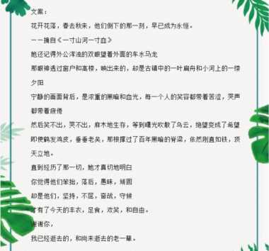 写二战德国最好的小说(二战德国最好的小说)插图3 十五年老书虫书单:5本熬夜也得看完的精品完结二战背景小说推荐