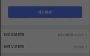 京东白条如何申请额度（京东白条如何提高白条额度）