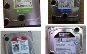 西部数据硬盘保修（西部数据移动硬盘质保查询）