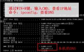 浏览器网页显示不正常（网络正常浏览器打不开网页是什么原因）