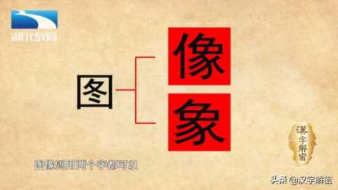 汉字解密｜象 : 人们为什么把大学比作“象牙塔”？