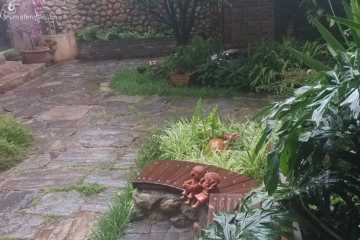 心花路放的客栈叫什么名字(大理梧桐客栈)插图7 终于搜齐了《心花路放》中“梧桐客栈”的原型和攻略!