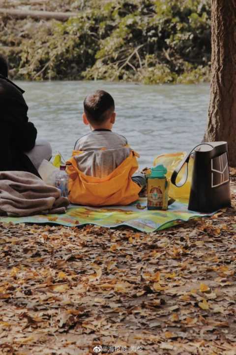 成都1天打来回！推荐7个观赏银杏好去处，登山赏秋都安逸