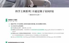 全球最大的p站怎么进入（最大的P站怎么进）