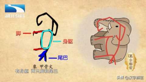 汉字解密｜象 : 人们为什么把大学比作“象牙塔”？