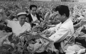 “罪人”褚时健，是如何从低谷走向巅峰，被众人捧为榜样的？