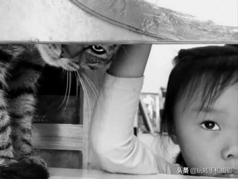 什么样的照片，更容易获得众人青睐？