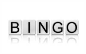 bingo是什么意思翻译成中文（bing的中文是什么意思）