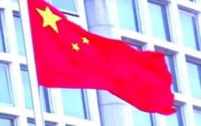 运费保险怎么赔付（运费险保险公司怎么赔付）