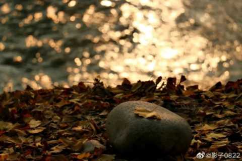 成都1天打来回！推荐7个观赏银杏好去处，登山赏秋都安逸