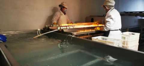 苏州大禹网络科技(苏州大禹网络科技有限公司)插图5 国内头部机构苏州大禹网络科技有限公司领导赴博兴考察产品供应链