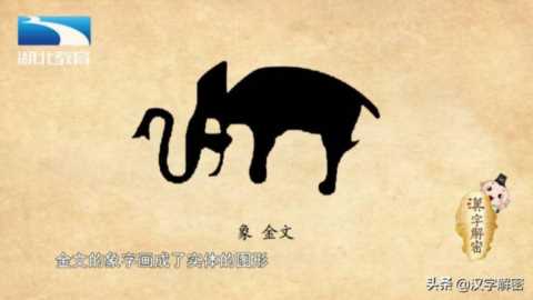 汉字解密｜象 : 人们为什么把大学比作“象牙塔”？