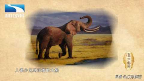 汉字解密｜象 : 人们为什么把大学比作“象牙塔”？