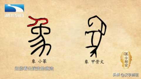 基本看不出是大象了,但是比照甲骨文的形体,还能看出演变的痕迹