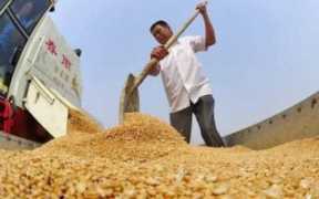 气候变化的利与弊（气候变化对人类的好处和坏处）