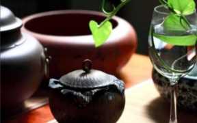 夫妻品茶的精美句子（生活与茶的唯美句子简短）