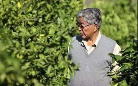 “罪人”褚时健，是如何从低谷走向巅峰，被众人捧为榜样的？