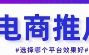 淘宝店铺推广平台（淘宝店铺推广平台有哪些）
