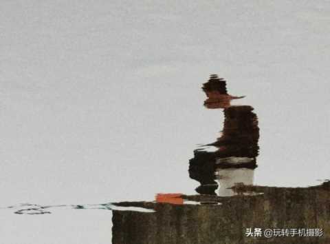 什么样的照片，更容易获得众人青睐？