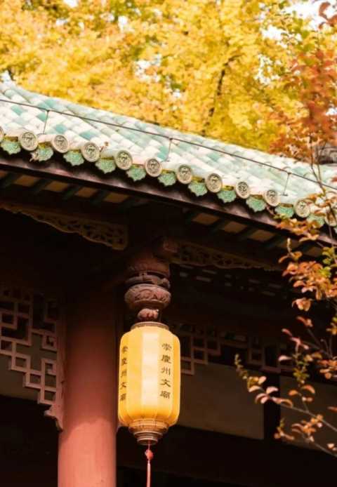 成都1天打来回！推荐7个观赏银杏好去处，登山赏秋都安逸