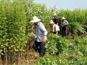 最赚钱的养殖业(现在什么养殖业好挣钱)