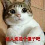又一诈骗传销山寨版趣步(揭秘趣步资金骗局)